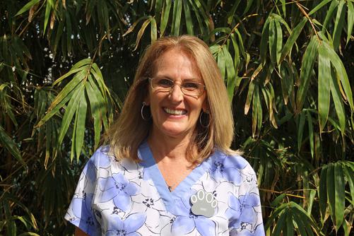 Niki started with Stuart Animal Hospital in 2014 and is known around here as "The Cat Whisperer". She is a Certified Veterinary Technician with over 30 years experience. She resides with her fiance and her 6 cats in Port St. Lucie.
