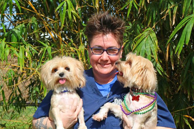 Missy joined Stuart Animal Hospital in 2012. She is an integral part of our Front Office Staff. She is a graduate of Martin County High School as well as a Veteran of the Army. Missy resides with her 2 Morkies and 4 cats. 