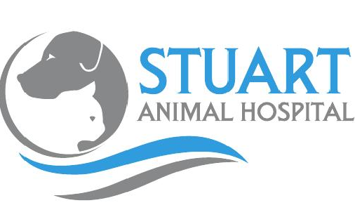 Stuart Animal Hospital/Home/ Stuart, Florida Holistic and Traditional  Veterinarian